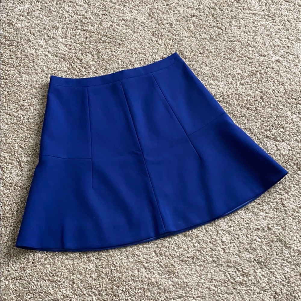 J Crew skirt
